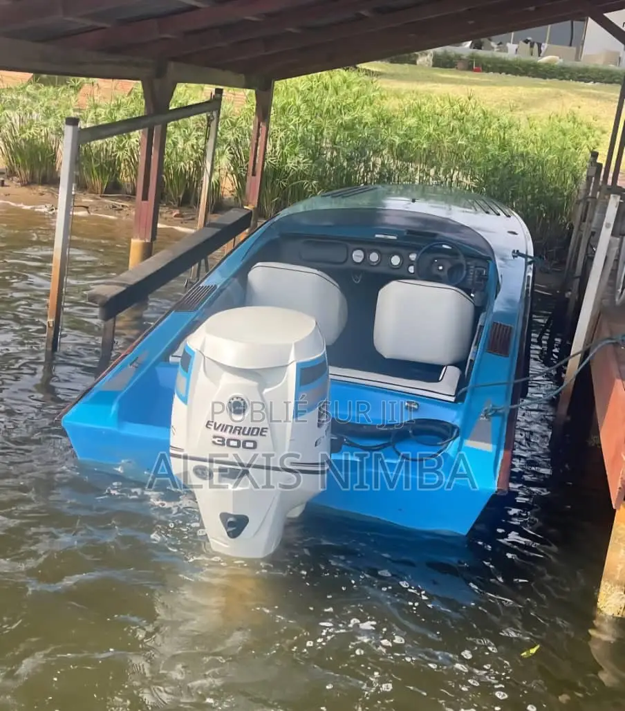 Bateau Debo Coque Rallonger Moteur 300cv Evinrude