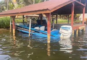 Bateau Debo Coque Rallonger Moteur 300cv Evinrude