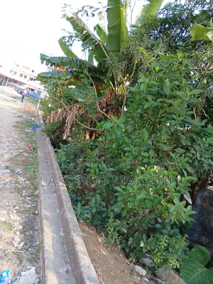 Photo - Terrain en Vente Ou en Baille