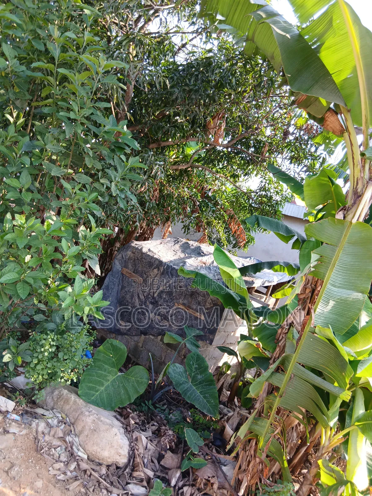 Terrain en Vente Ou en Baille