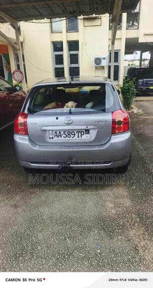 Toyota Corolla 2004 Gris