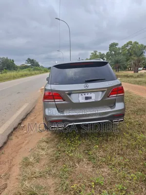 Mercedes-Benz GLE-Class 2019 Gris