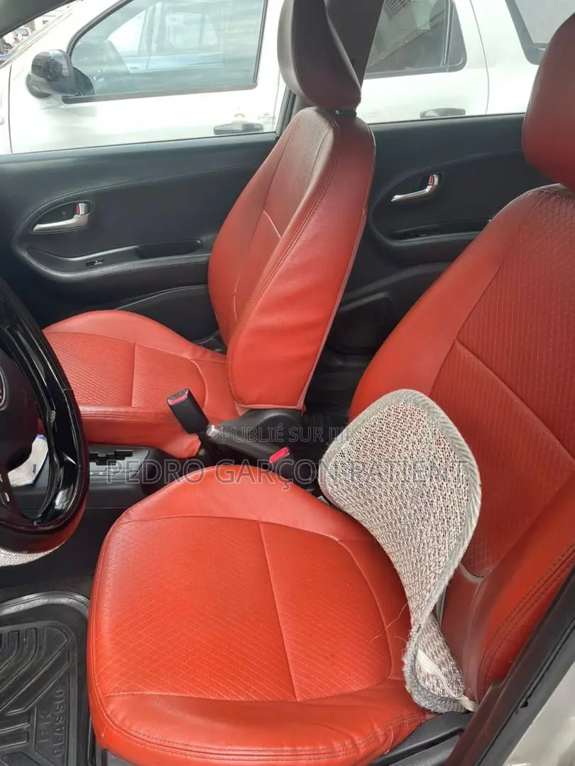 Kia Picanto 2012 Gris