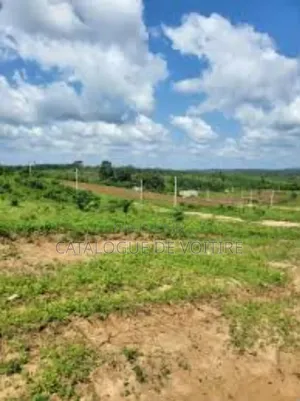 Photo - Terrains À Vendre À Sogon