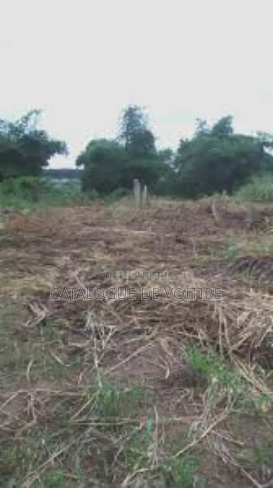 Terrains À Vendre À Sogon