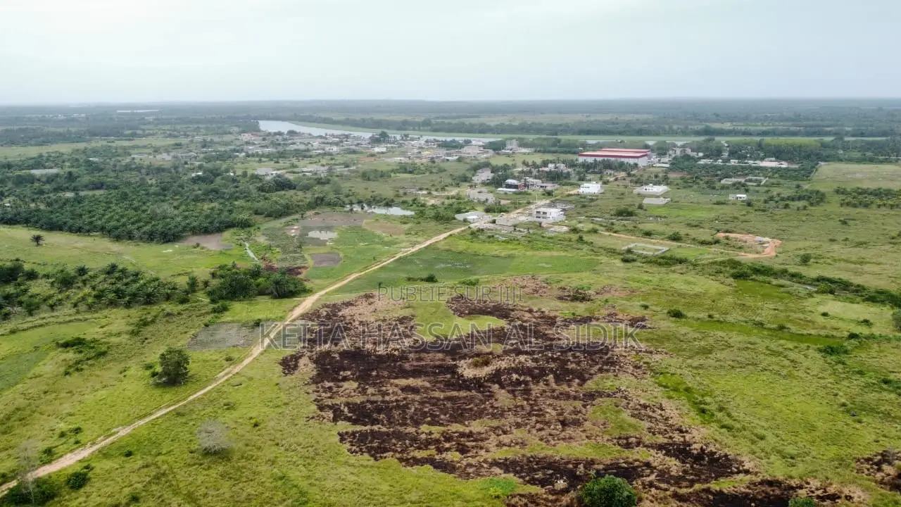 Des Lots en Vente, Zone Jacqueville Et Grand-Bassam