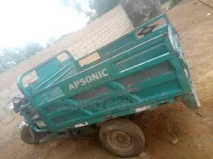 Apsonic AP150-175A 2024 Vert