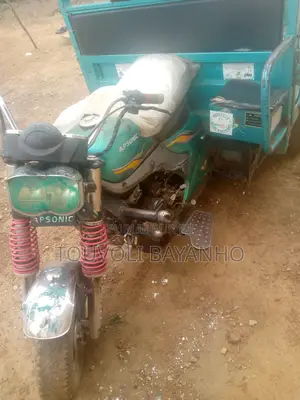 Apsonic AP150-175A 2024 Vert