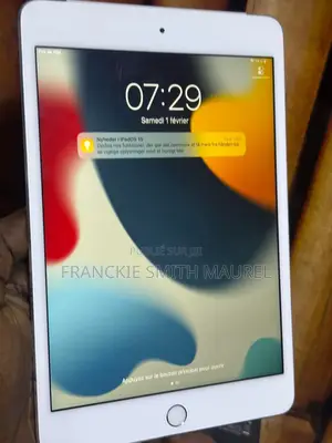 Photo - New Apple iPad mini 4 128 GB Gris