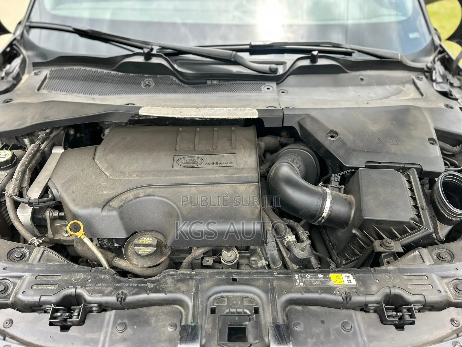 Land Rover Range Rover Evoque 2020 Gris