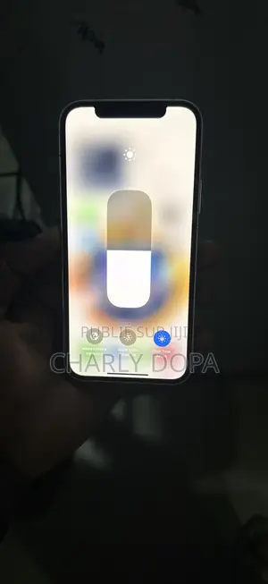 Apple iPhone 12 64 GB Vert