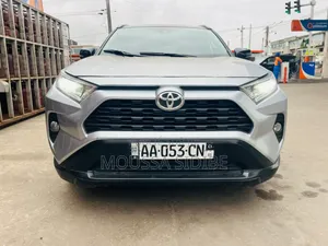 Toyota RAV4 Limited AWD 2019 Gris