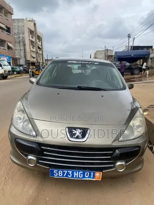 Photo - Peugeot 307 1.4 2005 Argenté