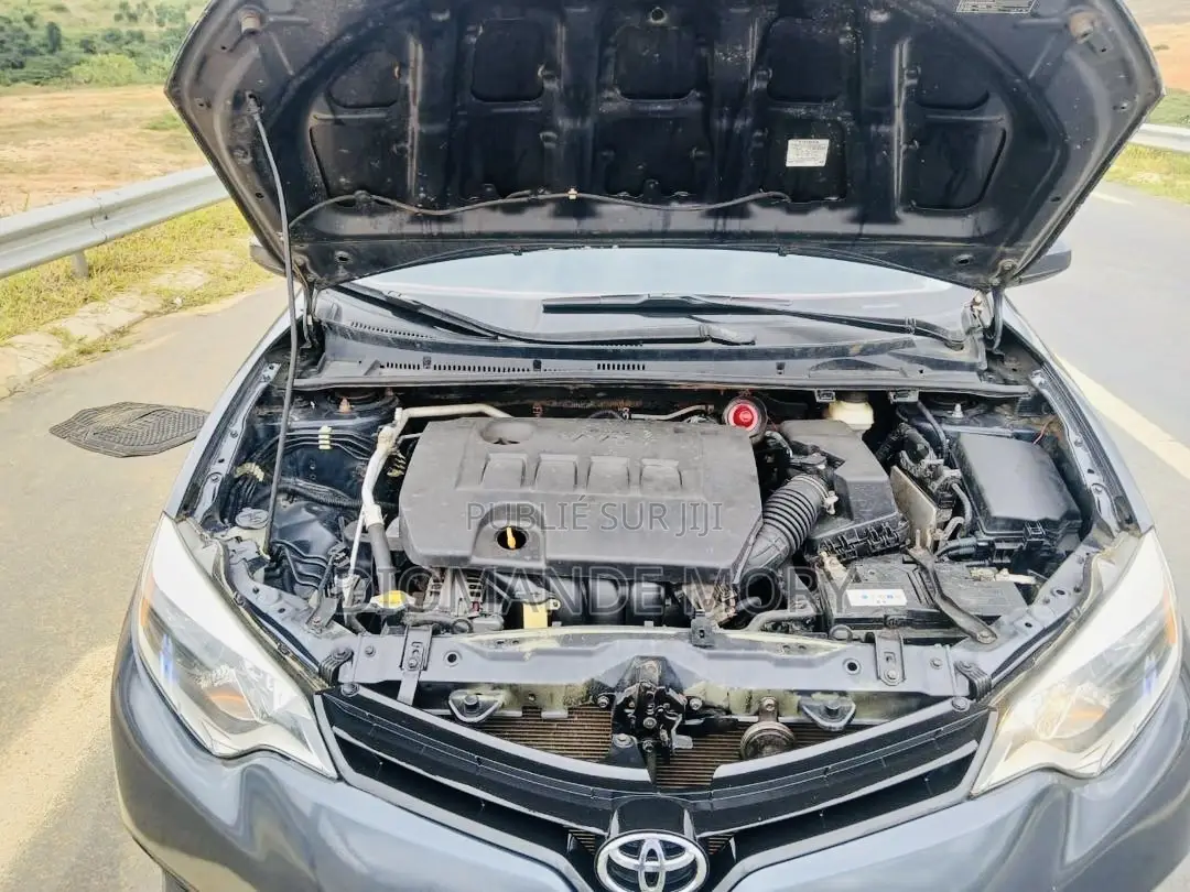 Toyota Corolla XLE 4dr Sedan (1.8L 4cyl CVT) 2017 Gris