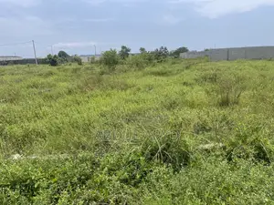 Terrain a Vendre Sur l'Autoroute Bassam