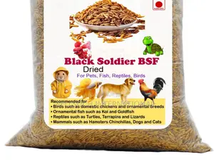 La Richesse Agricole Du Bsf