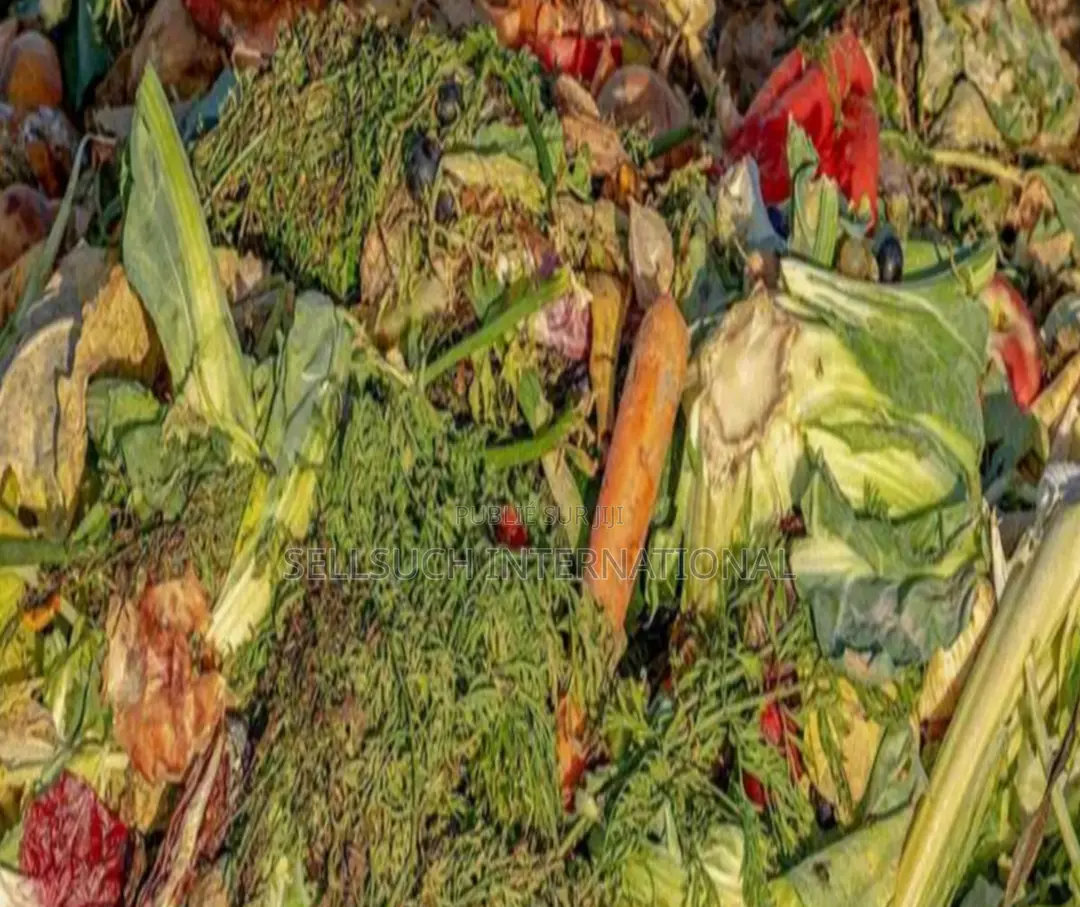 La Richesse Agricole Du Bsf