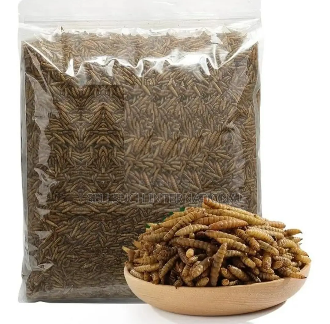 La Richesse Agricole Du Bsf