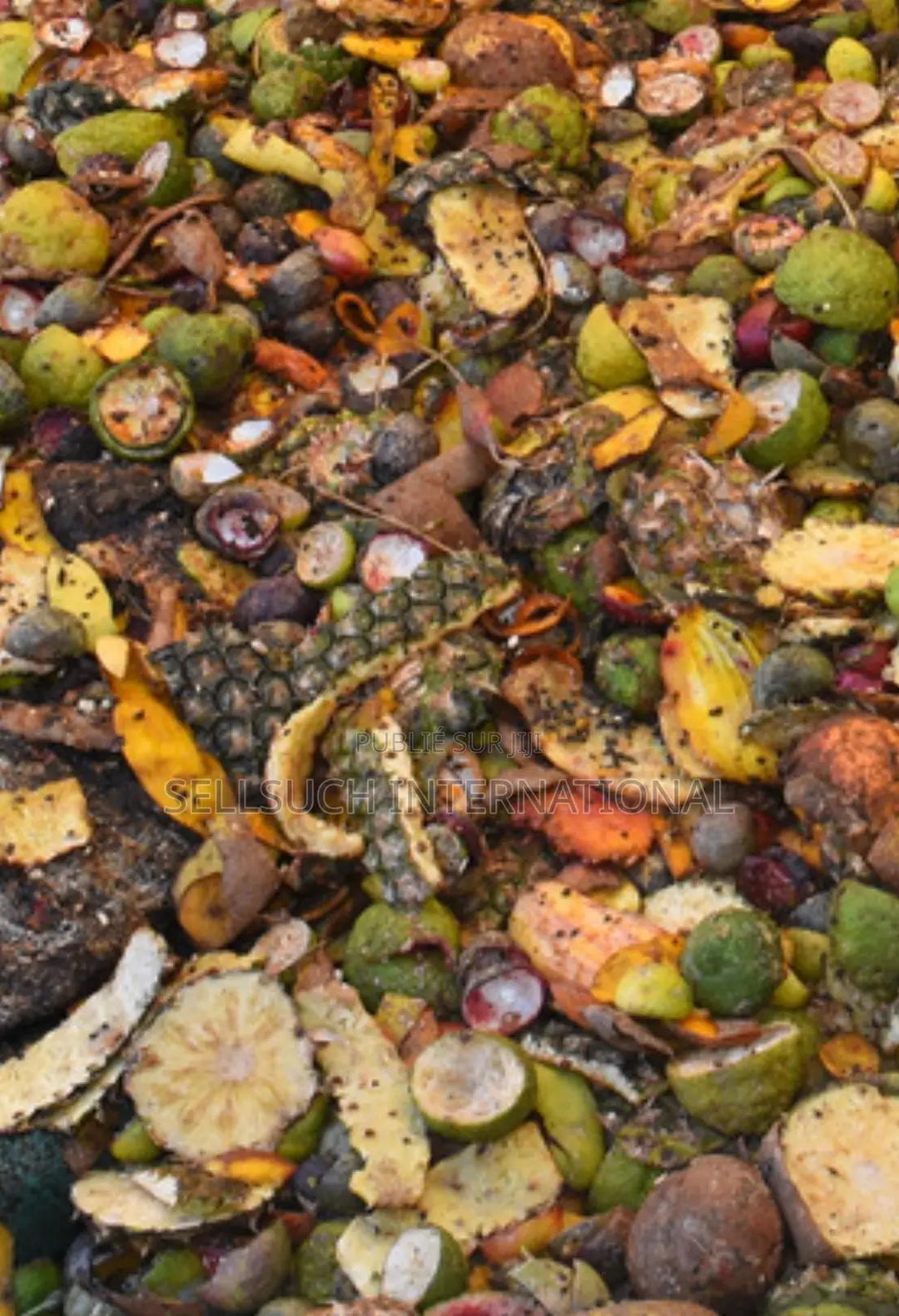 La Richesse Agricole Du Bsf