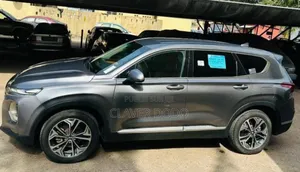Hyundai Santa Fe 2020 Gris