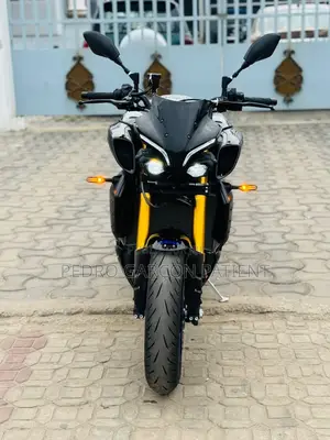 Photo - Yamaha Majesty 2025