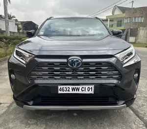 Toyota RAV4 Limited 2022 Gris