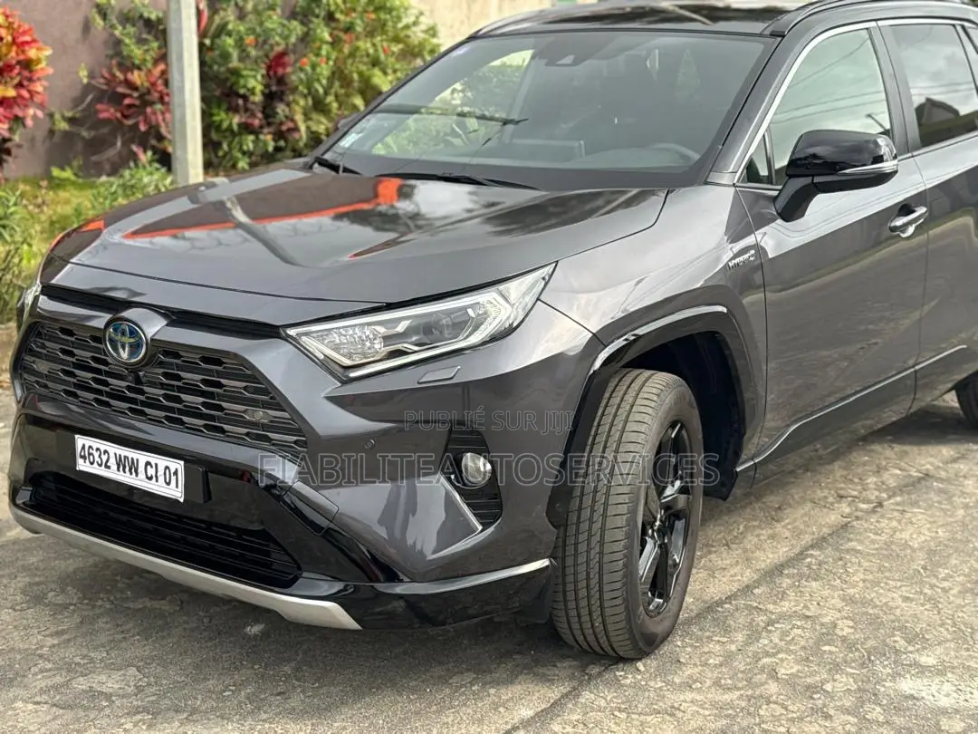 Toyota RAV4 Limited 2022 Gris