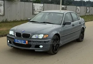 BMW 318i 2003 Gris
