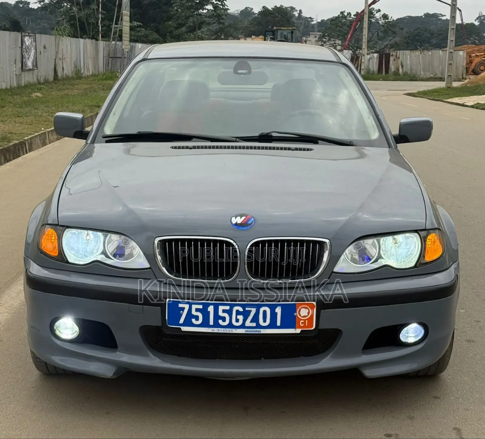 BMW 318i 2003 Gris