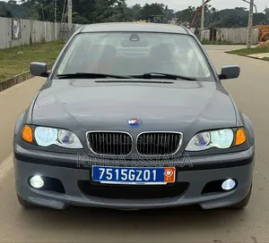 BMW 318i 2003 Gris