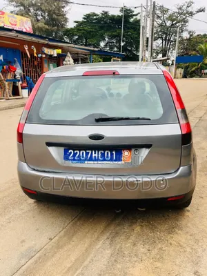 Ford Fiesta 2004 Gris