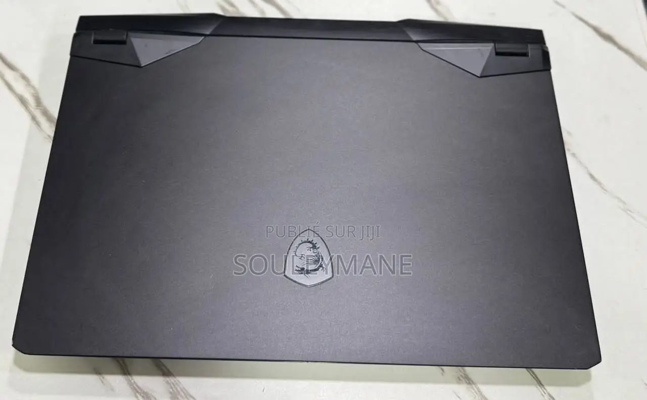 Ordinateur Portable MSI GP66 LEOPARD 10UG 16GB Intel Core I7 SSD 512GB