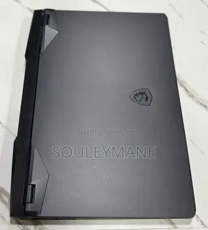 Ordinateur Portable MSI GP66 LEOPARD 10UG 16GB Intel Core I7 SSD 512GB