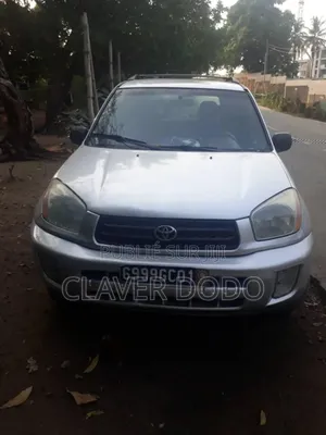 Photo - Toyota RAV4 2002 Gris