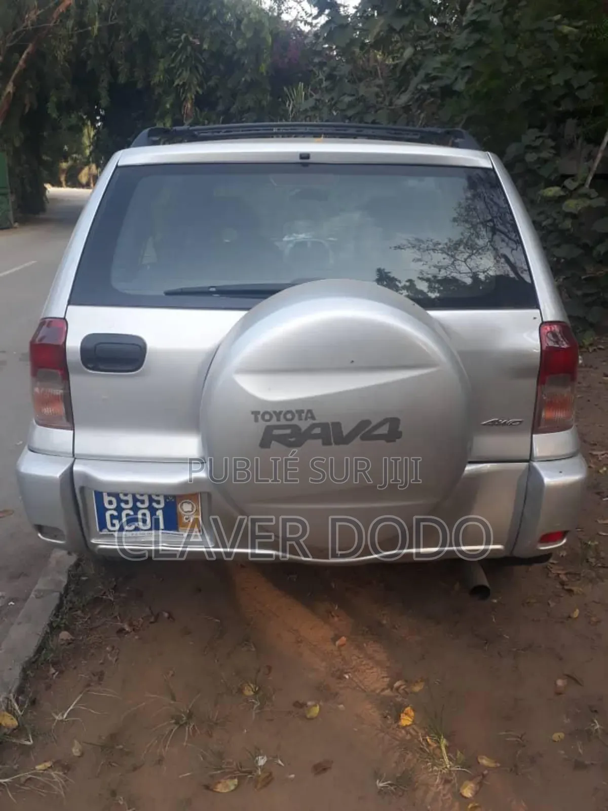 Toyota RAV4 2002 Gris