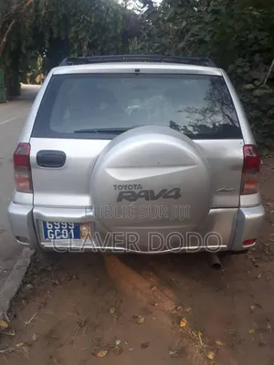 Toyota RAV4 2002 Gris