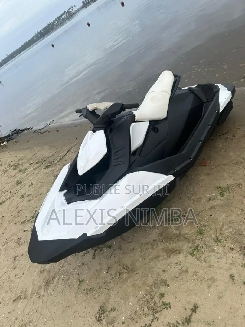 Jet Ski Spark 2015 Marche Avant