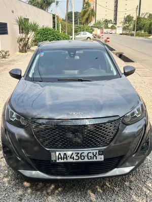 Photo - Peugeot 2008 2022 Argenté