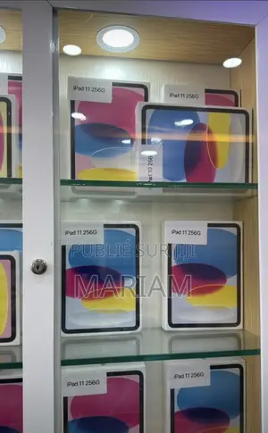 New Apple iPad (2025) 256 GO