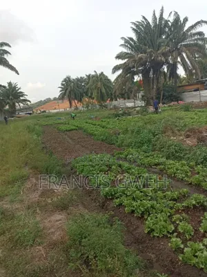 Photo - Terrain Partenariat