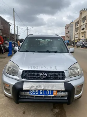 Toyota RAV4 2004 Gris