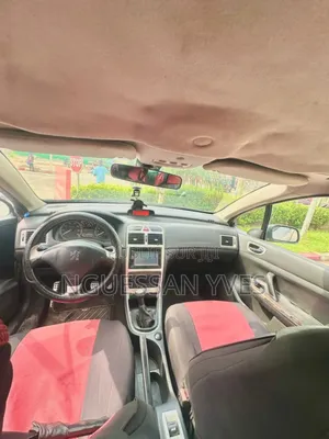 Peugeot 307 2002 Gris