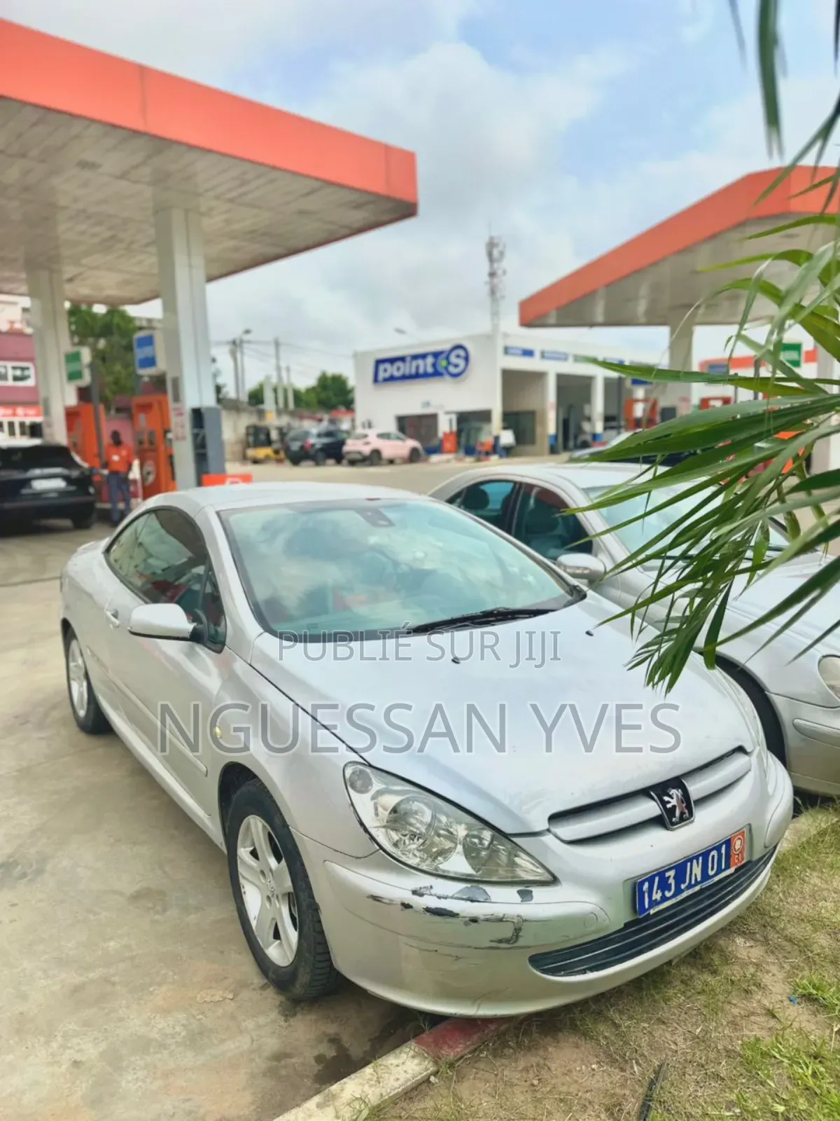 Peugeot 307 2002 Gris