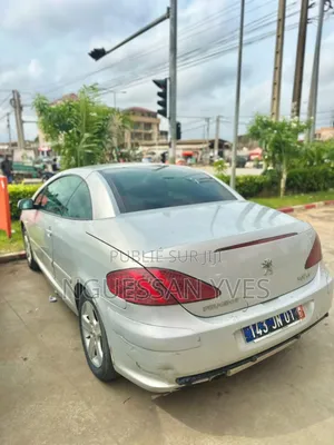 Peugeot 307 2002 Gris