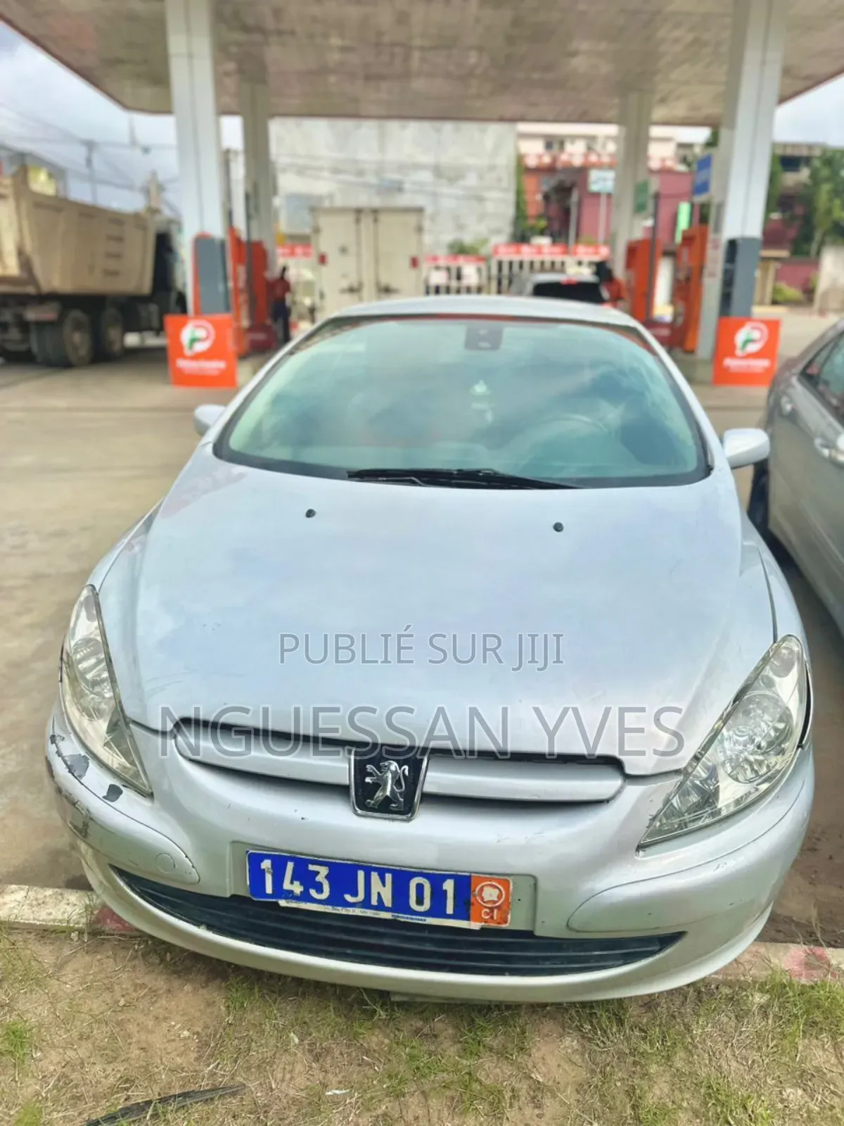 Peugeot 307 2002 Gris