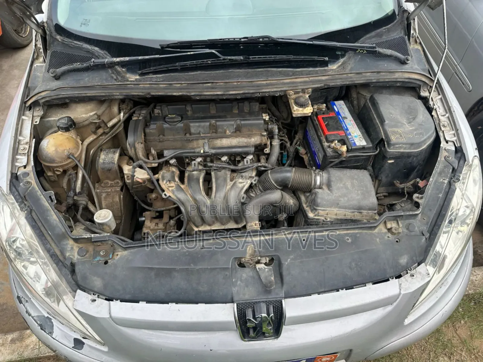 Peugeot 307 2002 Gris