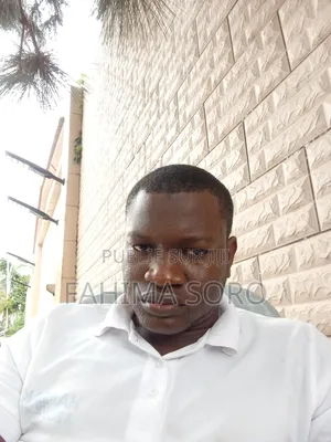 Photo - Un Chauffeur Pro