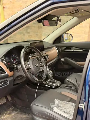 Kia Seltos 2021 Blue