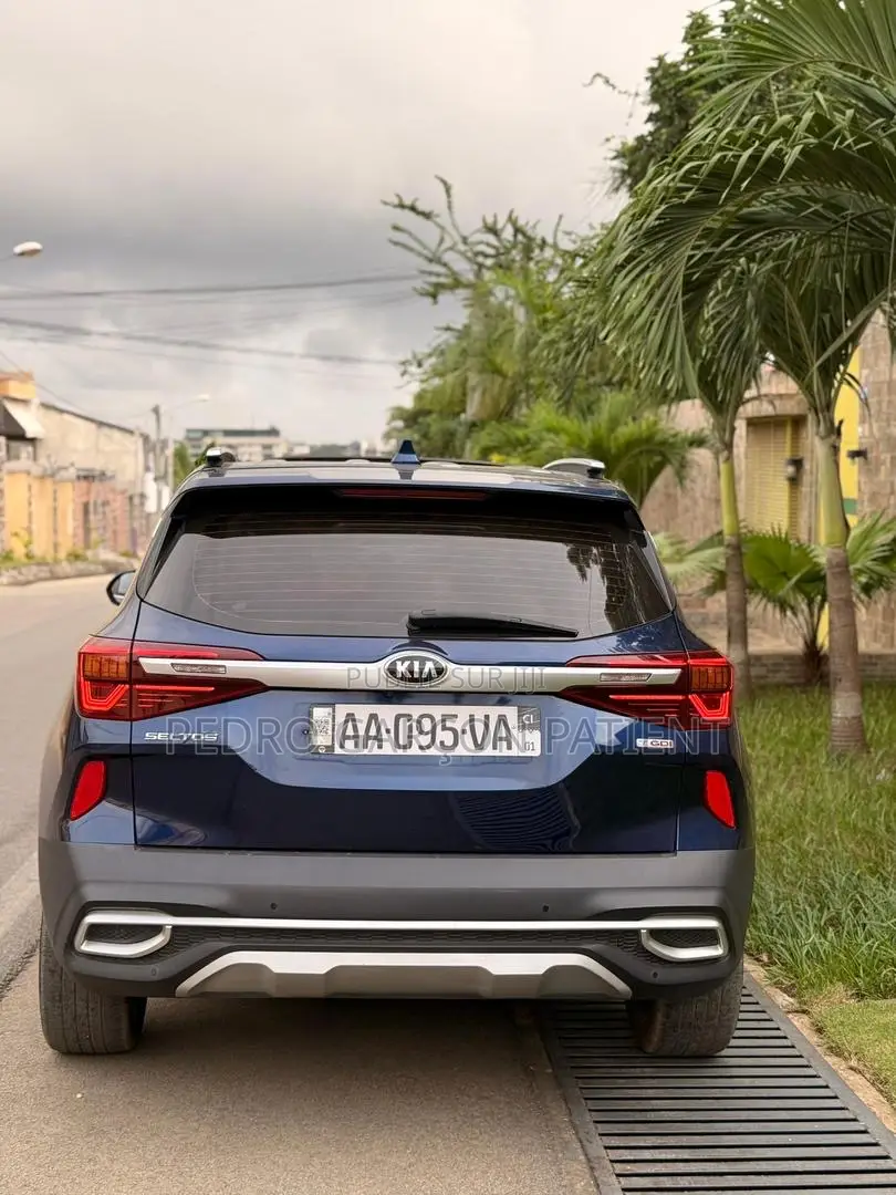 Kia Seltos 2021 Blue