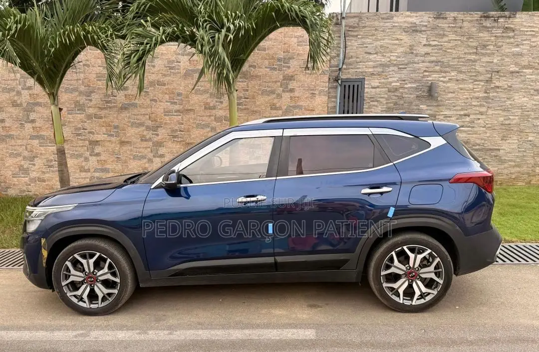 Kia Seltos 2021 Blue